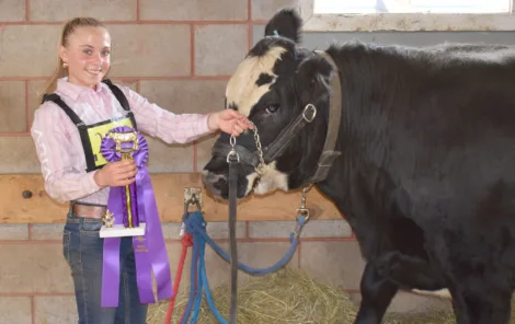 Three-peat in market steer show at Iron County Fair